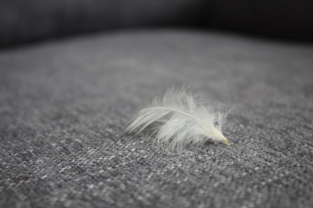 Cloud Modular Charcoal Sectional