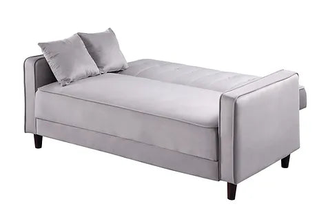 Cozy Grey Sofa Bed and Loveseat Bed