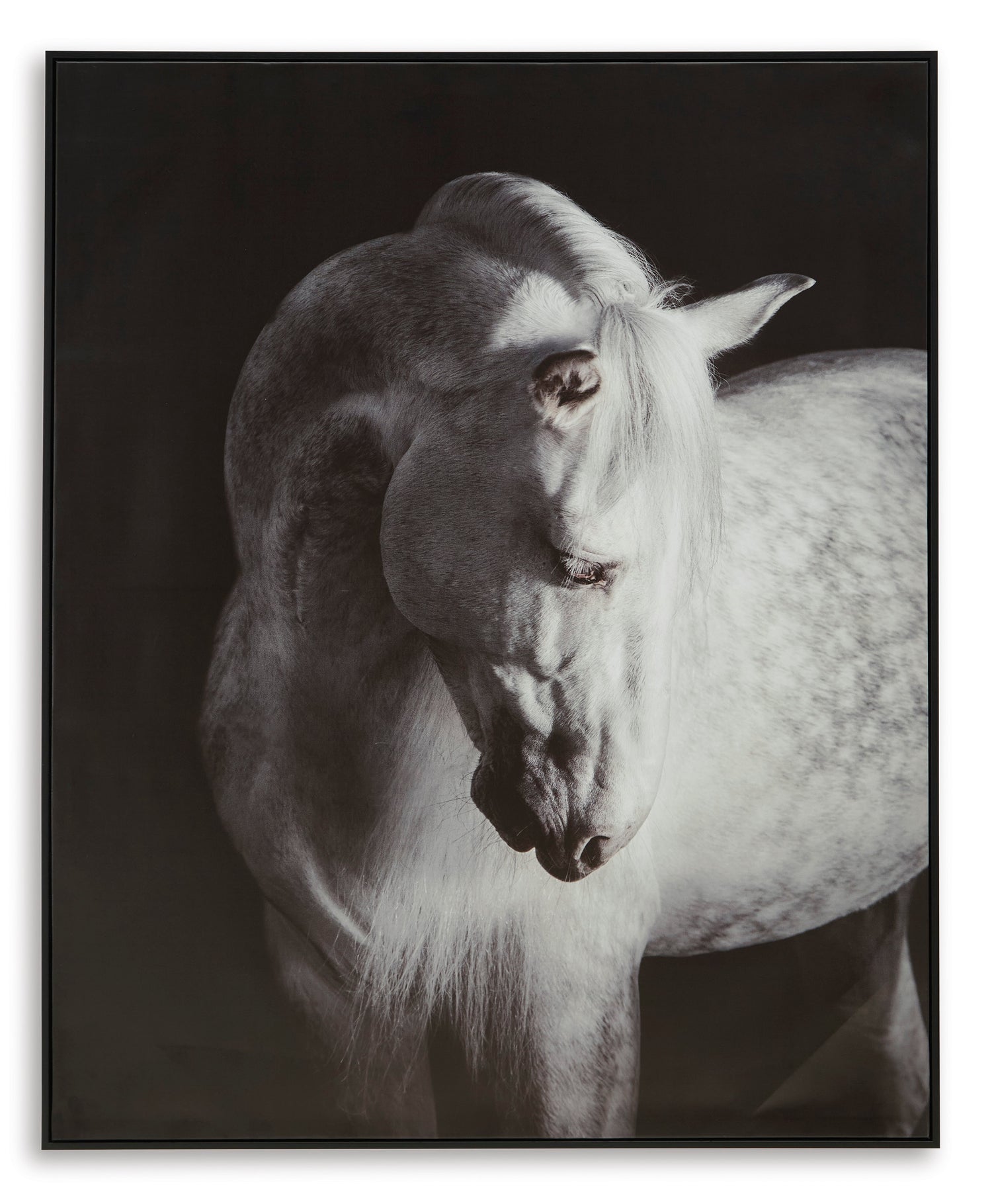 A8000409 - Wall Art **NEW ARRIVAL**